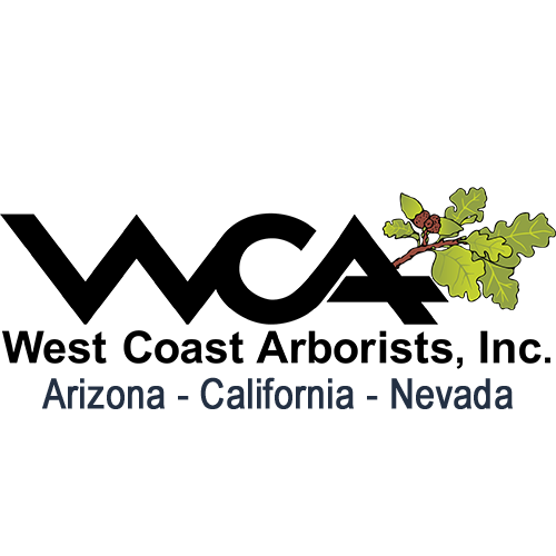 West Coast Arborists